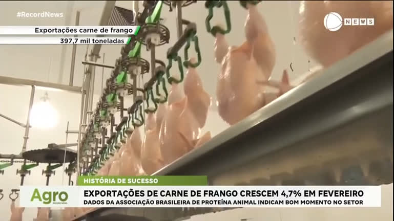 Brasil exporta mais de 397 mil toneladas de frango em fevereiro, o maior nível desde 2020